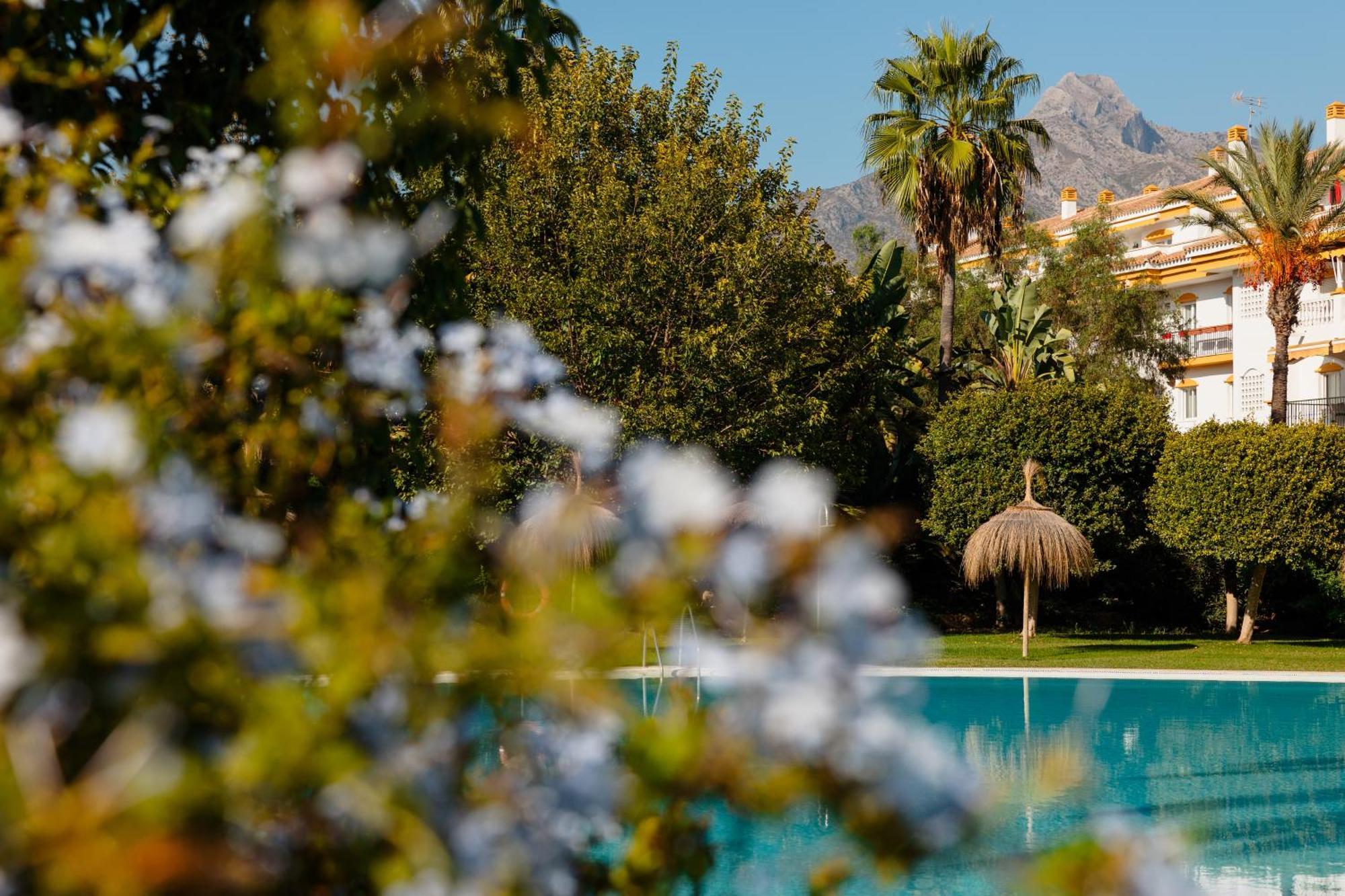Ground Floor Holiday Apartment With Terrace And Pool In Puerto Banus, Marbella Kültér fotó